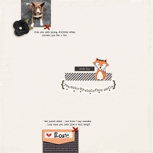Little Fox