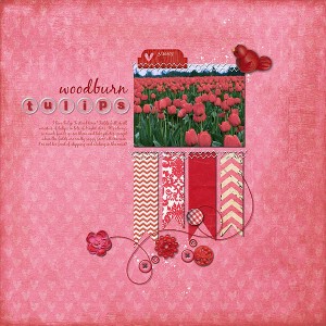 Woodburn Tulips