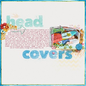 Head Covers