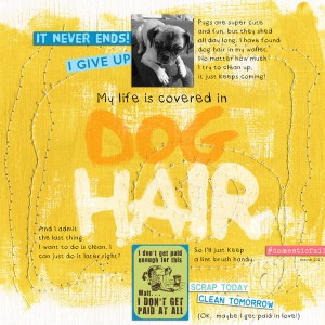 Covered in Dog Hair
