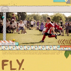 Fly