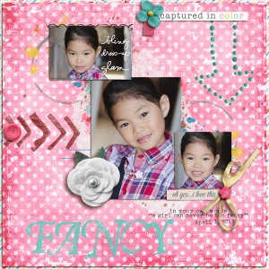 040113_fancy-web