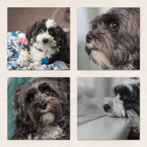 4 photos grid page design
