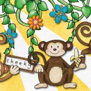 FB cover