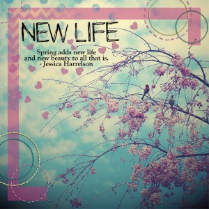 New Life