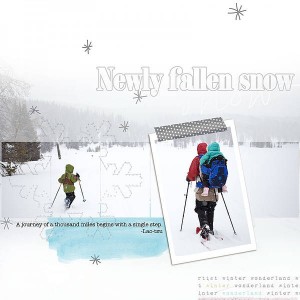 Newly Fallen Snow