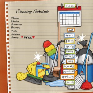 Cleaning Schedule