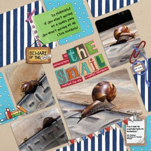The Snail
