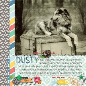 Dusty (my old dog)