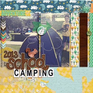 School camping