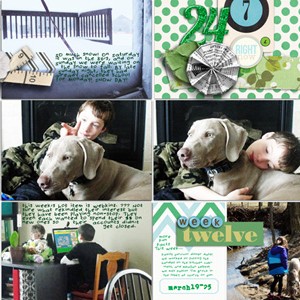 2013 week 12