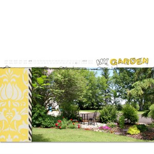 my garden