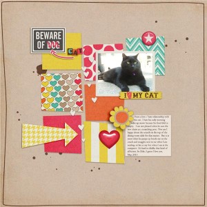 Beware of cat