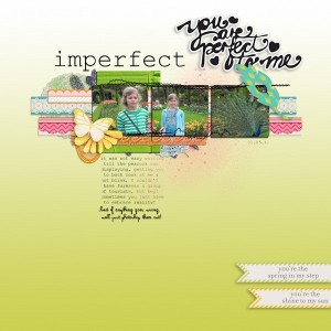iNSD template challenge