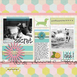 my little secret