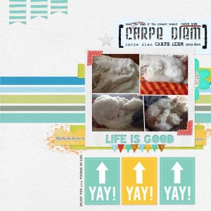 Carpe Diem