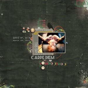 Carpe Diem My Way