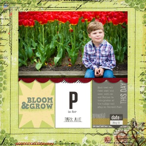template challenge park avenue tulips