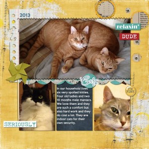 Cats