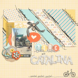 Bike Ride on Catalina
