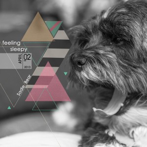 May Product Challenge