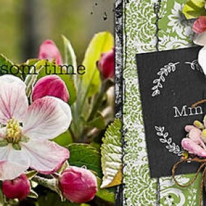 it's apple blossom time