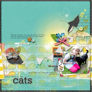 cats...
