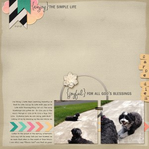 May One Word Challenge - Carpe Diem