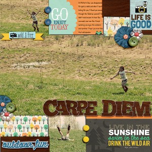 Carpe Diem