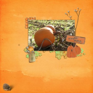 Pumpkin Patch