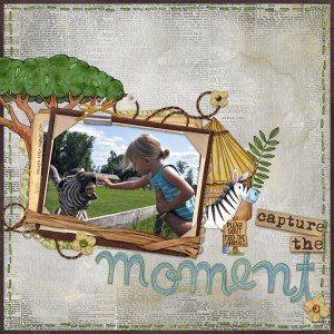 Capture the Moment