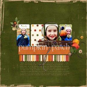 Pumpkin Patch 2009