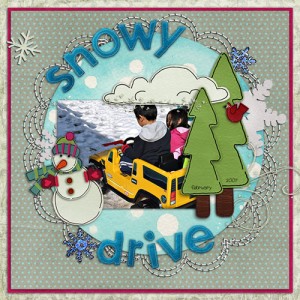 Snowy Drive