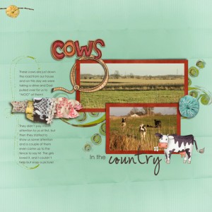 Cows in the Country