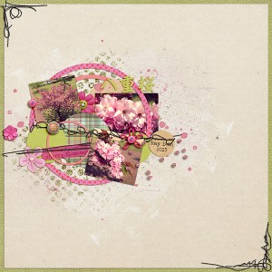 Last cherry blossoms