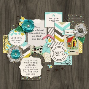 Little Life Lessons