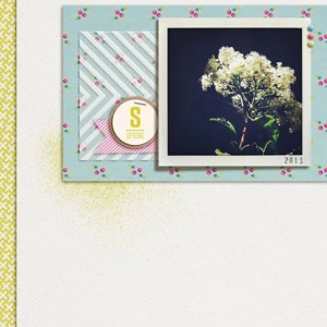 Spring 2013