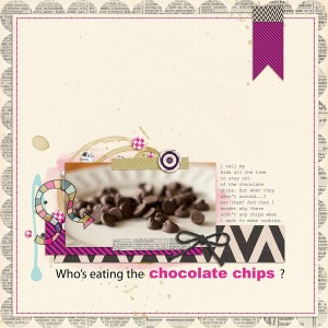 Chocolate Chips