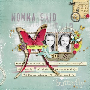 Little Butterfly
