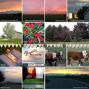 Beauty All Around Me