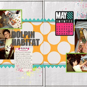 Dolphin-Habitat-web