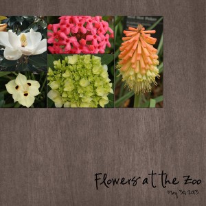 Flowers at the Zoo