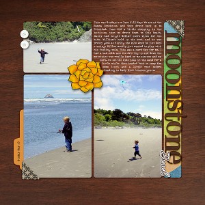 Redwoods Trip Page 9