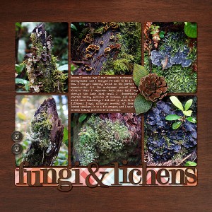 Redwoods Trip Page 12