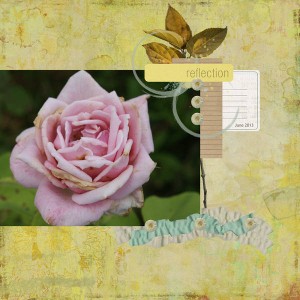 Rose Garden