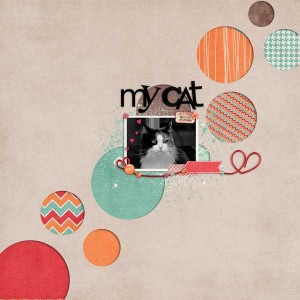 my lovely cat
