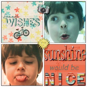 Summer Wishes
