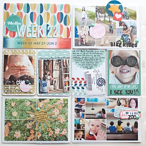 Project Life 2013 - Week 22 - Left