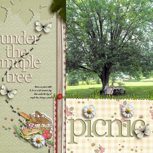 under the maple tree