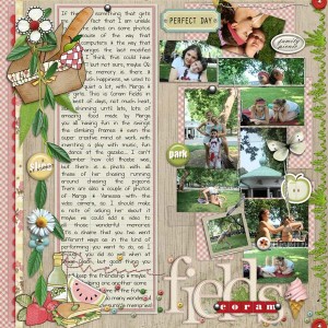 Coram Fields Picnic